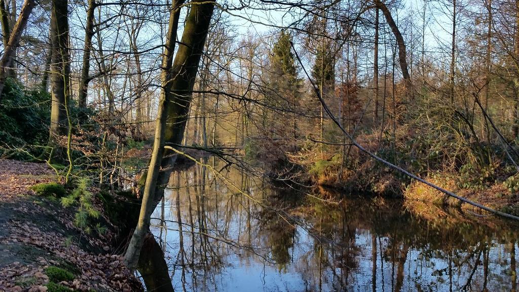 Hotel Den Soeten Inval Delden Exteriér fotografie